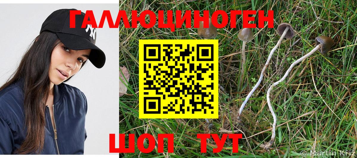 Калуга  Псилоцибиновые грибы Magic Shrooms  Вход с VPN  что такое наркотик  Псилоцибиновые грибы прущие грибы 